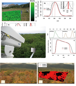 物候在线自动观测系统
